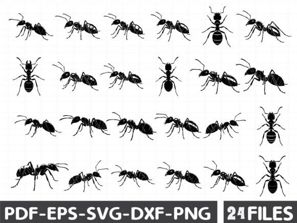 Ant Clipart Graphics for Modern Editorial Design