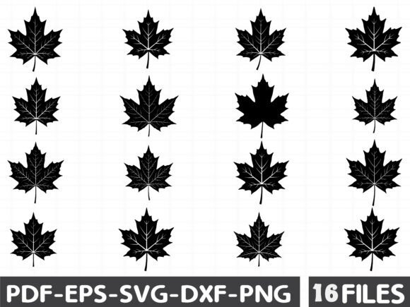 Black Maple Leaf Silhouette Graphics for Modern Editorial Design