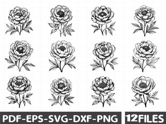 Spring Petunia Flower Clipart for Graphics and Illustrations